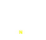 N19